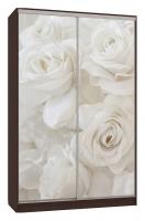 Шкаф-купе Рио 7-600 розы (полки слева) венге