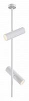 Светильник на штанге Maytoni Elti C021CL-02W. Фото №1