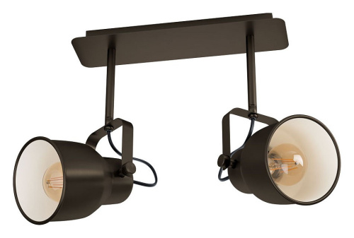 Спот Eglo ПРОМО Mitchley 43386. Фото №1