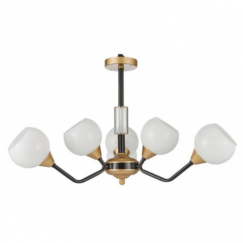 Подвесная люстра Favourite Germen 2550-6P. Фото №1