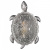 Накладной светильник Favourite Turtle 2255-1W фото Накладной светильник Favourite Turtle 2255-1W. Фото №2