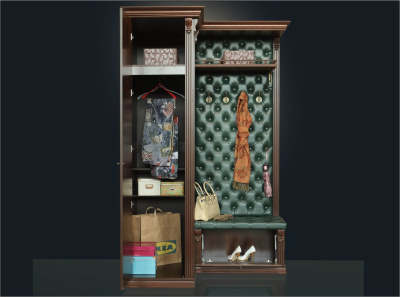 Прихожая Благо 5 Б 5.8-6. Фото