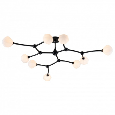 Потолочная люстра Favourite Suri 2688-9P. Фото