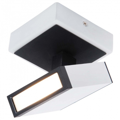 Спот Lussole Yakutat LSP-8012. Фото №1