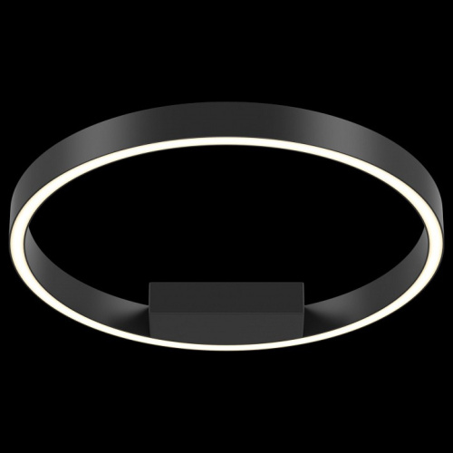 Накладной светильник Maytoni Rim MOD058CL-L25B4K. Фото №2