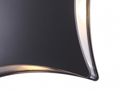 Накладной светильник Globo Evalia 34155. Фото №2